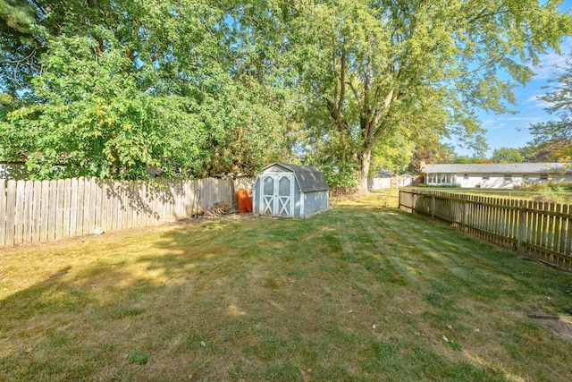 view of yard with a storage shed