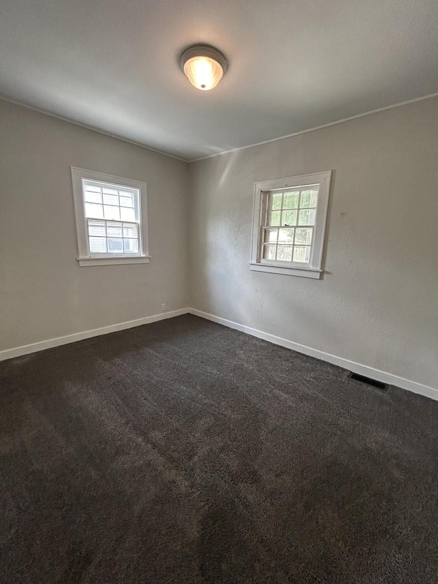 carpeted spare room featuring a wealth of natural light