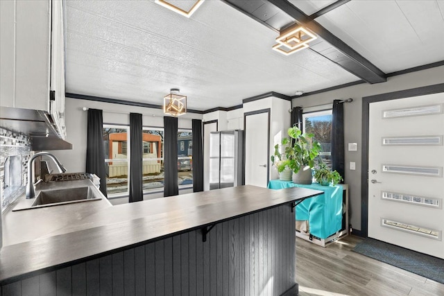 kitchen with a sink, freestanding refrigerator, dark wood-style flooring, and dark countertops