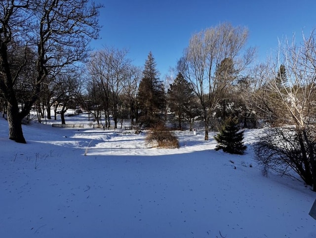 view of yard layered in snow