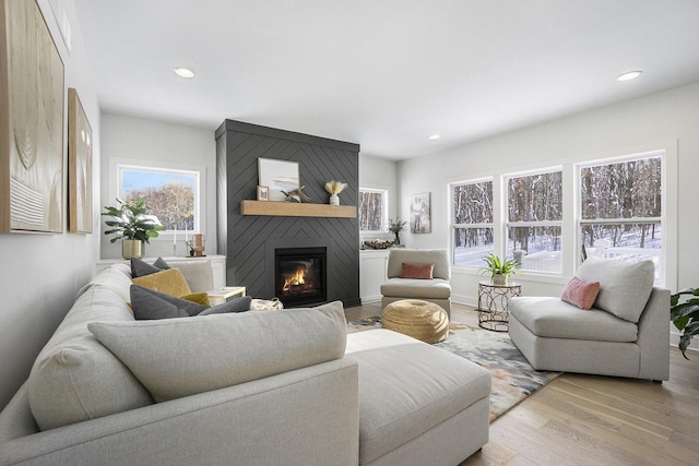 living room featuring a fireplace and light hardwood / wood-style flooring