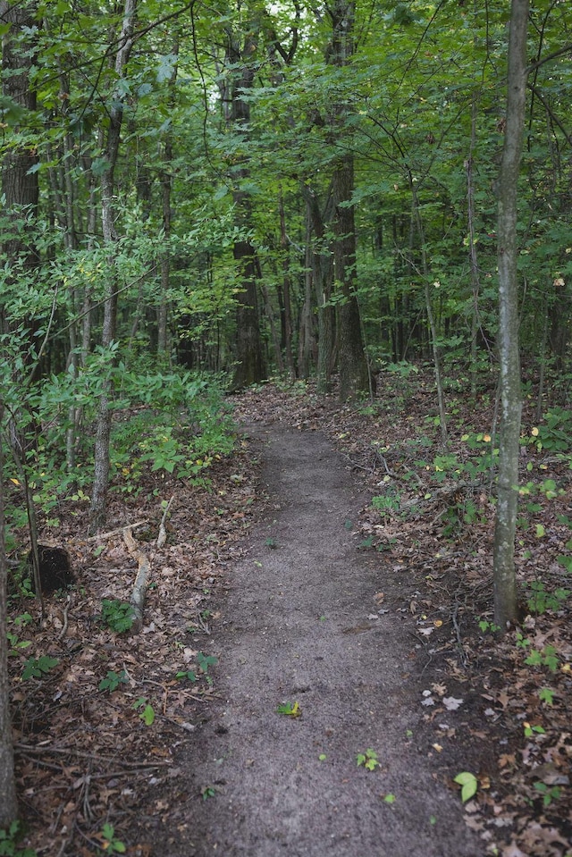 view of local wilderness