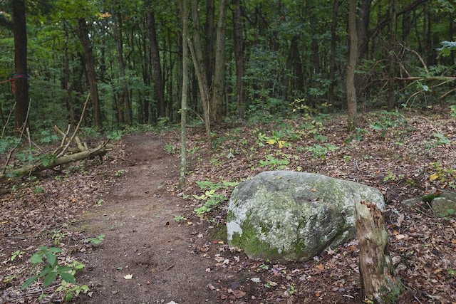 view of local wilderness