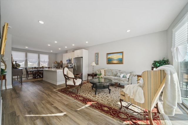 living room featuring wood-type flooring