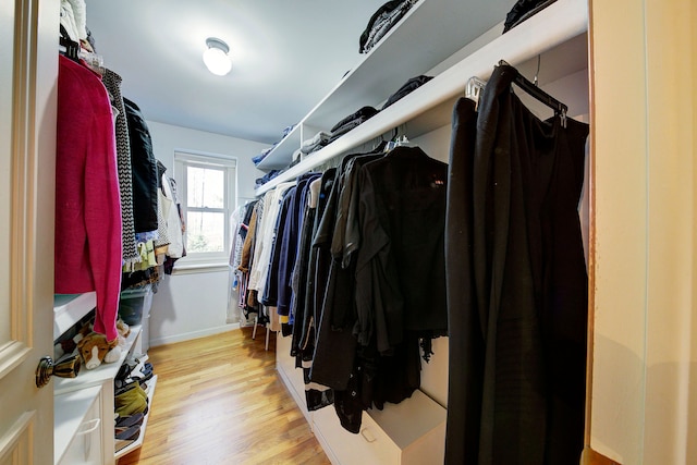 walk in closet with light hardwood / wood-style flooring