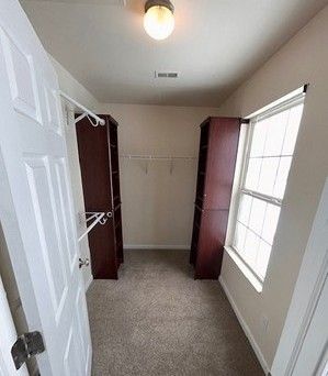 spacious closet featuring light carpet