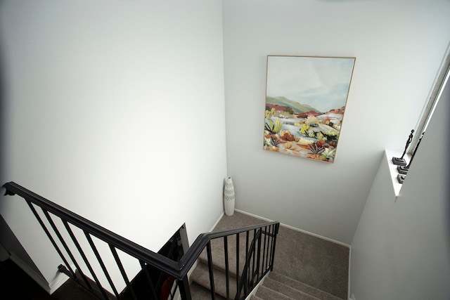 staircase featuring carpet flooring