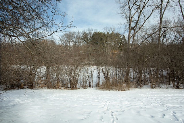 view of snow covered land