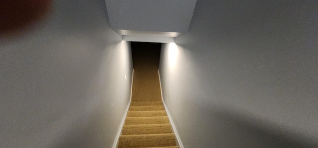 stairway featuring hardwood / wood-style floors