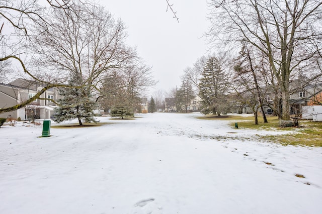 view of yard layered in snow