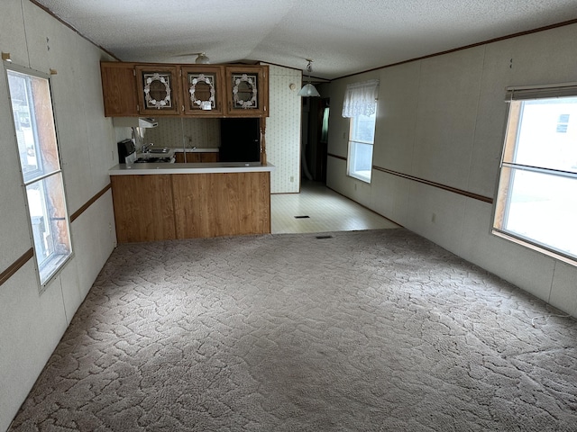 kitchen with lofted ceiling, ornamental molding, kitchen peninsula, light carpet, and a textured ceiling