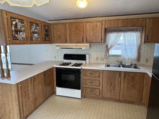 kitchen featuring sink, range hood, a textured ceiling, black fridge, and gas range