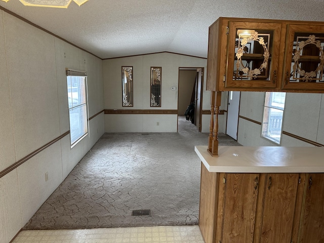 kitchen featuring vaulted ceiling, ornamental molding, and a textured ceiling