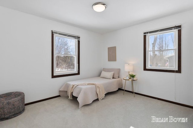 carpeted bedroom with multiple windows