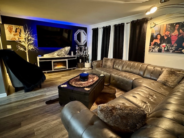 home theater room with hardwood / wood-style flooring