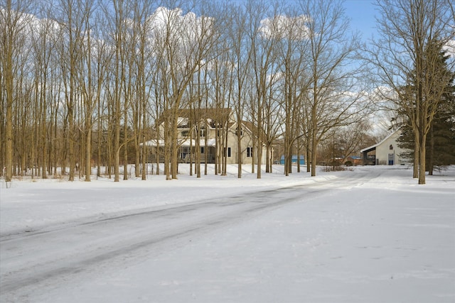 view of yard covered in snow