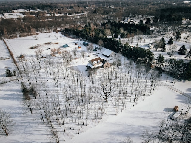 view of snowy aerial view