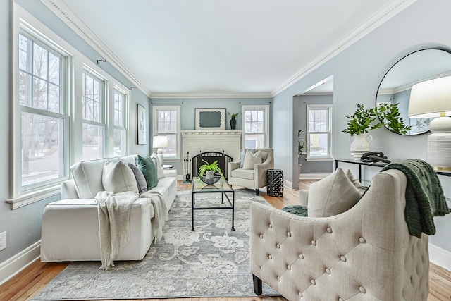 living room featuring crown molding, a fireplace, and light hardwood / wood-style floors