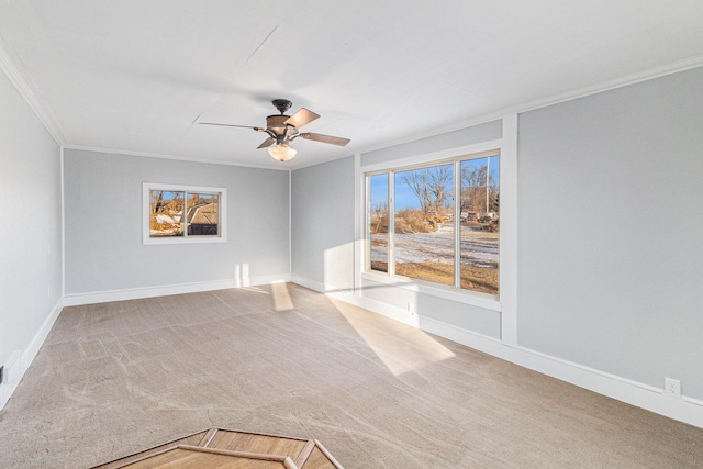 unfurnished room with crown molding, ceiling fan, and carpet