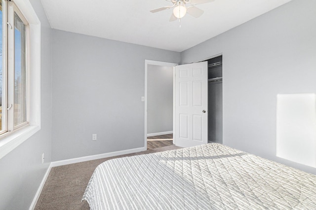 unfurnished bedroom featuring ceiling fan, carpet flooring, and a closet