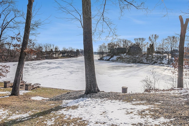 view of yard layered in snow