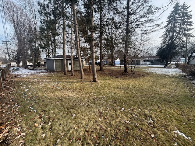 view of yard with a storage shed