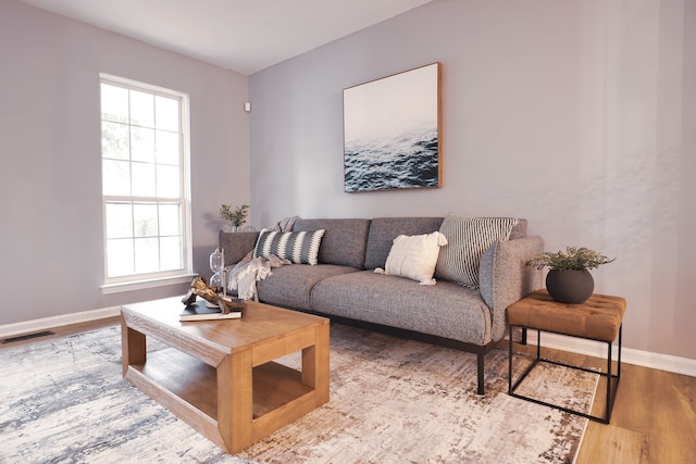 living room featuring wood-type flooring