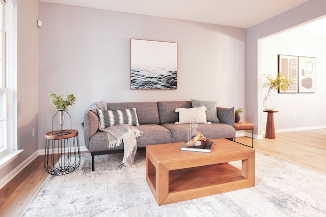 living room featuring wood-type flooring