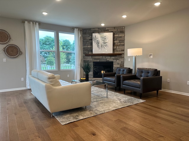 living room featuring dark wood-type flooring and a fireplace