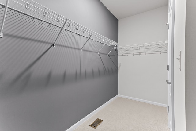 spacious closet featuring carpet flooring