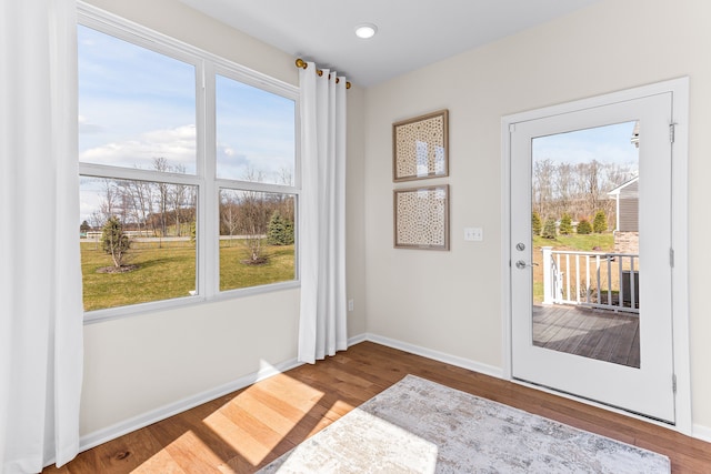 entryway with hardwood / wood-style floors