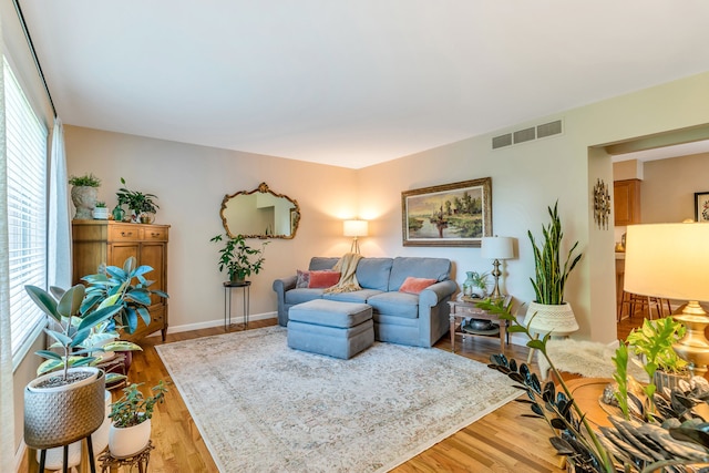 living room with a healthy amount of sunlight and light wood-type flooring