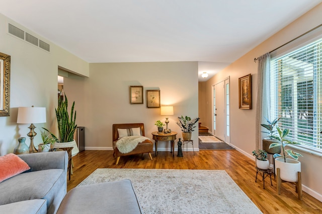 living room featuring hardwood / wood-style flooring