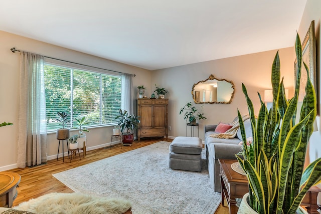 living area featuring hardwood / wood-style flooring