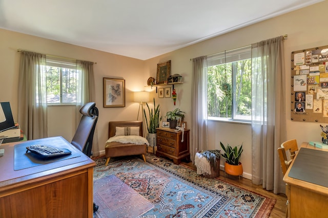 office space with light hardwood / wood-style flooring and a healthy amount of sunlight