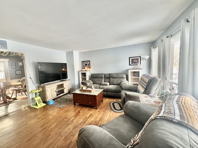 living room featuring light hardwood / wood-style floors