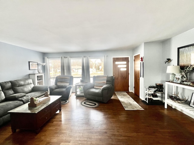 living room featuring dark hardwood / wood-style flooring