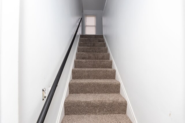 stairs featuring carpet floors