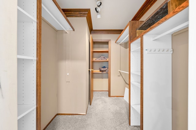 spacious closet featuring carpet floors