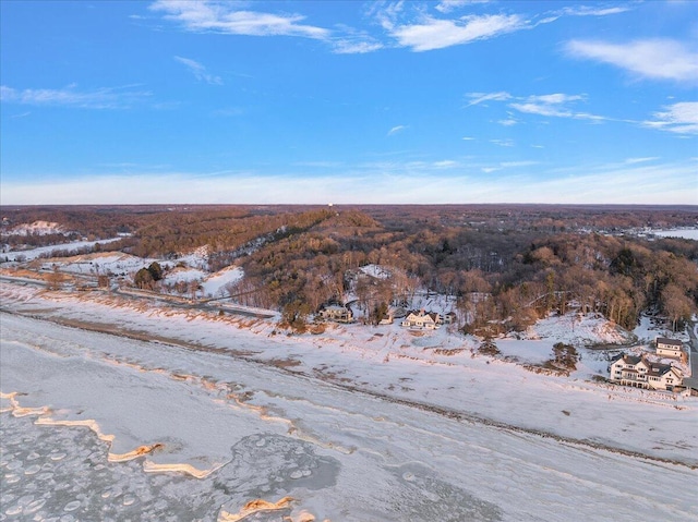 view of snowy aerial view