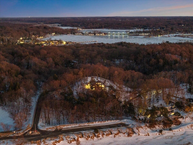 view of snowy aerial view