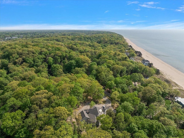 690 Dunegrass Circle Dr, Saugatuck, MI 49453 - photo 50