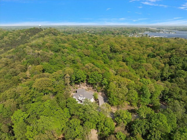 690 Dunegrass Circle Dr, Saugatuck, MI 49453 - photo 52