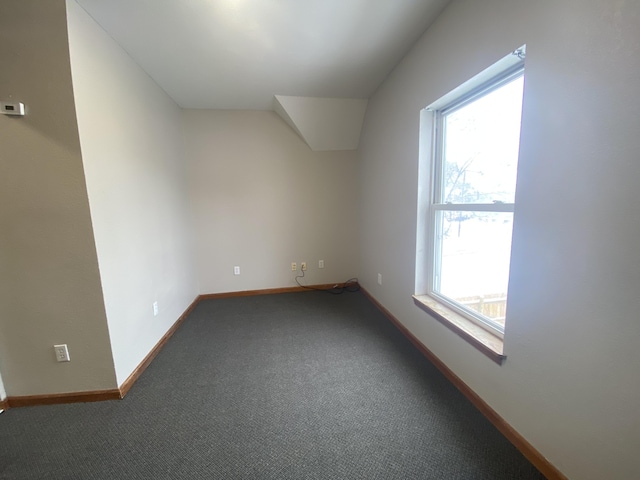 additional living space featuring carpet