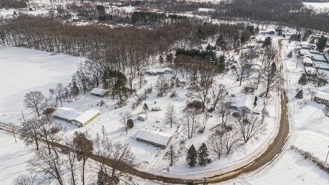 view of snowy aerial view