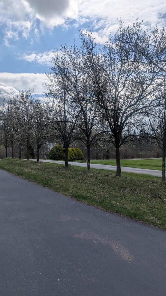 view of road