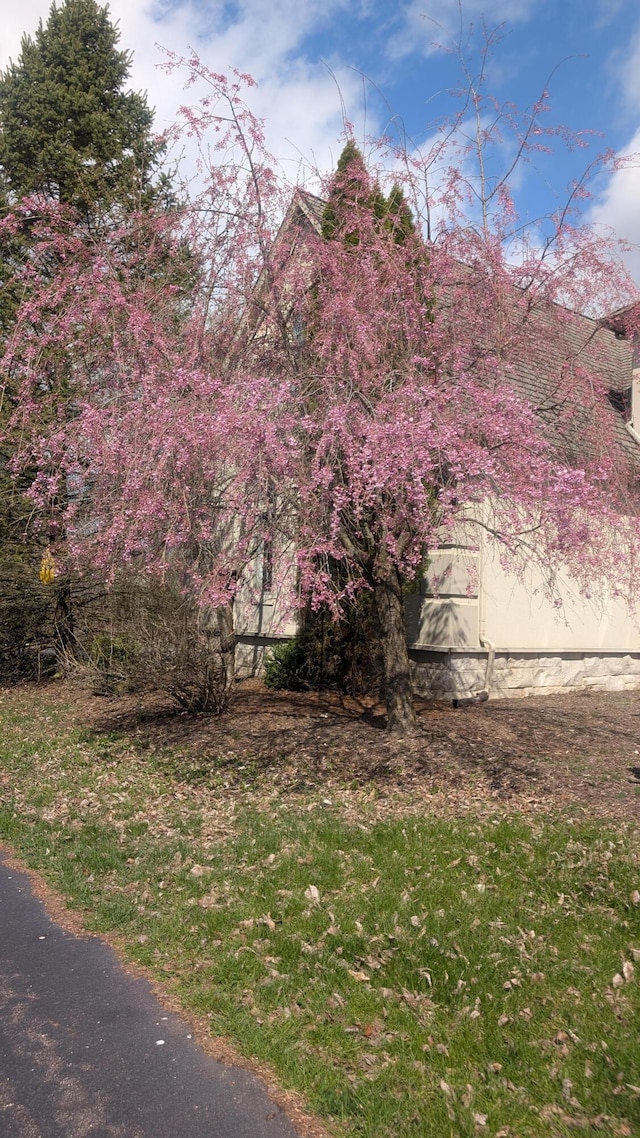 view of side of property