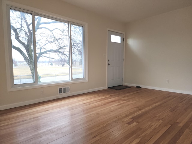 entrance foyer with light hardwood / wood-style flooring