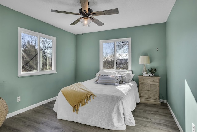 bedroom featuring multiple windows, dark hardwood / wood-style floors, and ceiling fan