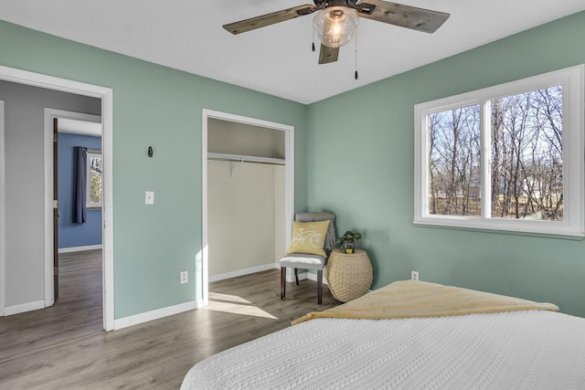 bedroom featuring multiple windows, wood-type flooring, ceiling fan, and a closet